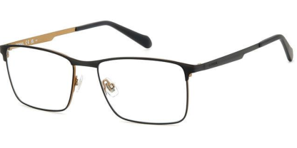 FOS7166 Fossil Glasses