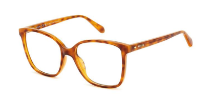 FOS7165 Fossil Glasses