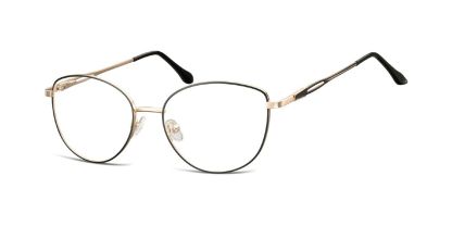 Taylor Salvini Glasses | 888